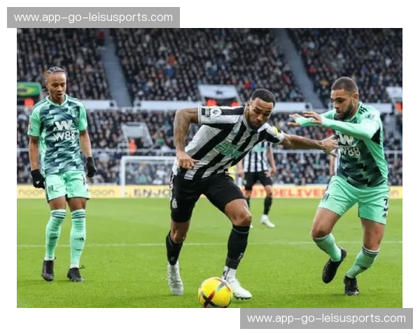 白鹿巷的烽火:热刺与纽卡斯尔的恩怨情仇与足球哲学 白鹿巷的烽火:热刺与纽卡斯尔的恩怨情仇与足球哲学